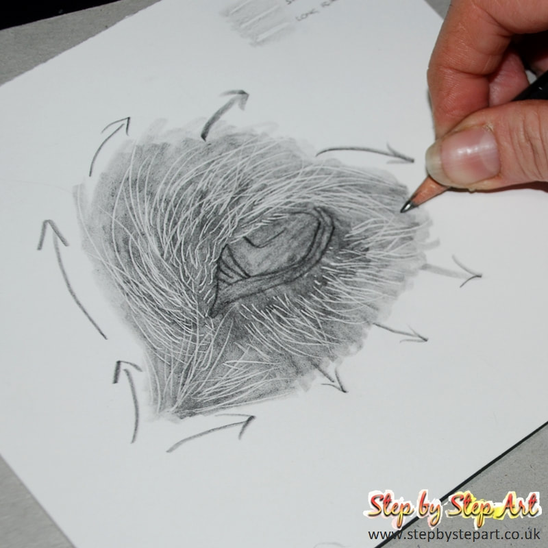 Applying the base layers of a dog eye for a graphite pencil tutorial