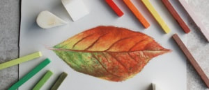 Soft pastels nupastels and autumn leaf drawing