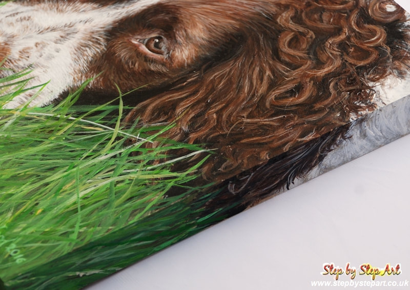 Springer Spaniel acrylic painting on a 22mm Ampersand Gessobord 