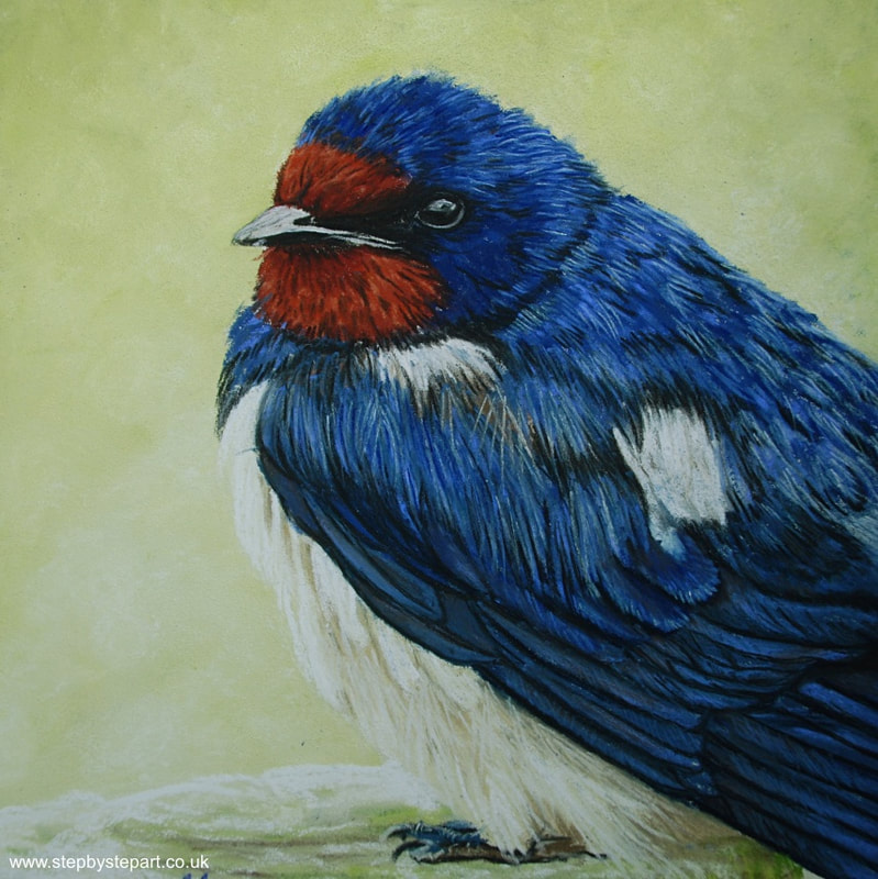 Swallow in soft pastels on Ampersand pastelbord created using Unison soft pastels and Stabilo CarbOthello pastel pencils