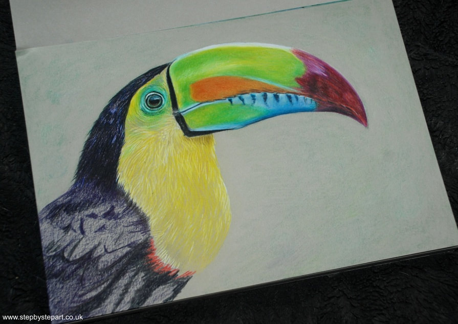 Keel-billed Toucan coloured pencil drawing using Derwent Lightfast pencils