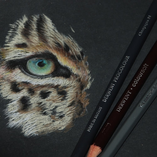 UArt black sanded paper - coloured pencil drawing of a leopard eye and derwent pencils