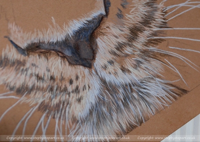 Coloured pencils on Tan Ursus paper creating an Amur Leopard