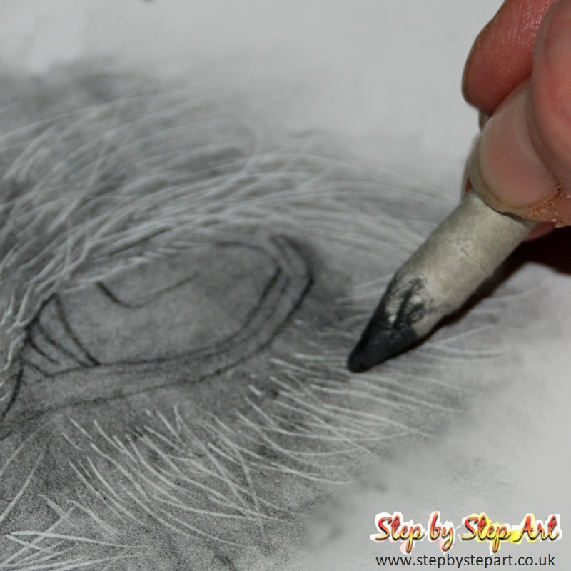 Using a paper blending stump to blend graphite pencil