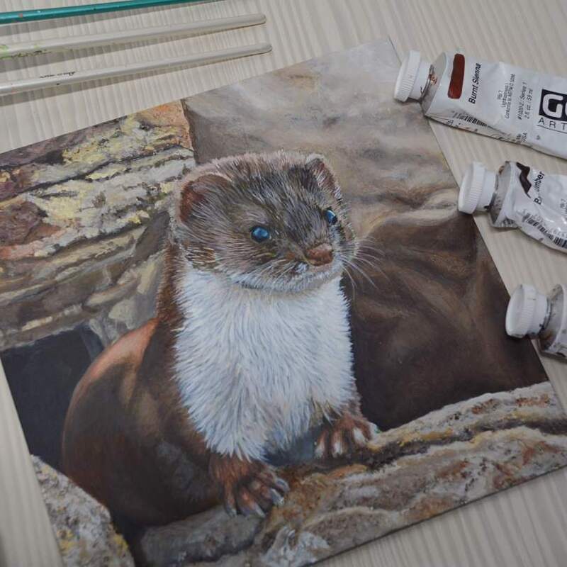 acrylic painting of a weasel on ampersand pastelbord using GOLDEN heavy body acrylics