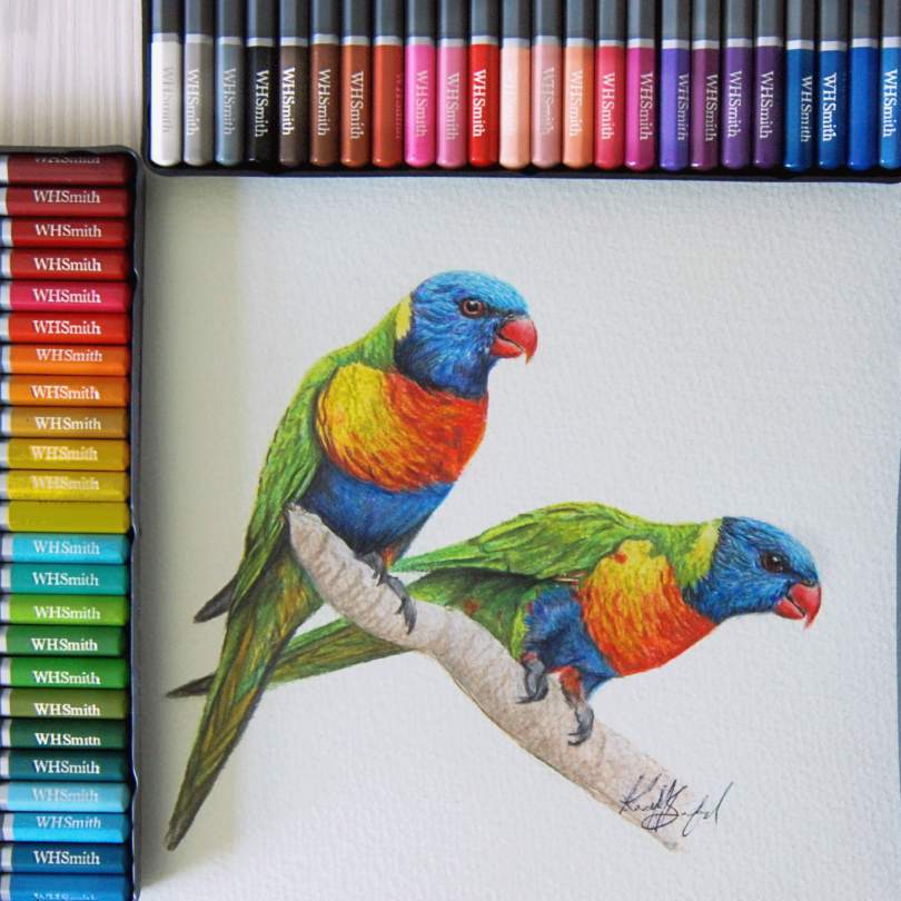 WH Smith colouring pencils and a drawing of Lorikeets