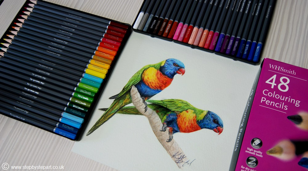 Coloured pencil drawing of Lorikeet parrots using WH Smith colouring pencils on Bockingford NOT watercolour paper in Eggshell